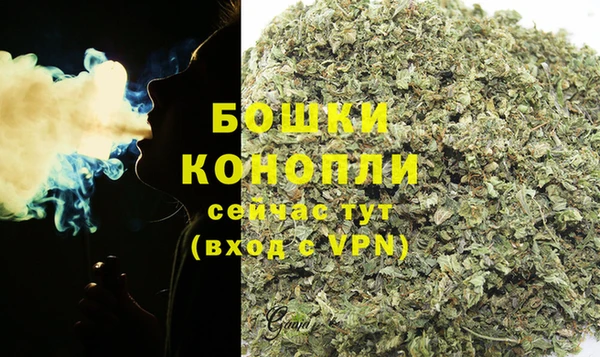 шишки Балахна