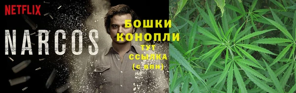 шишки Балахна